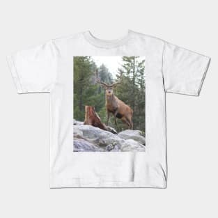 Red Deer Stag Kids T-Shirt